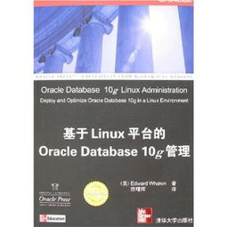 對日軟件外包服務(wù) 技術(shù)挑戰(zhàn)、市場機(jī)遇與成功之道